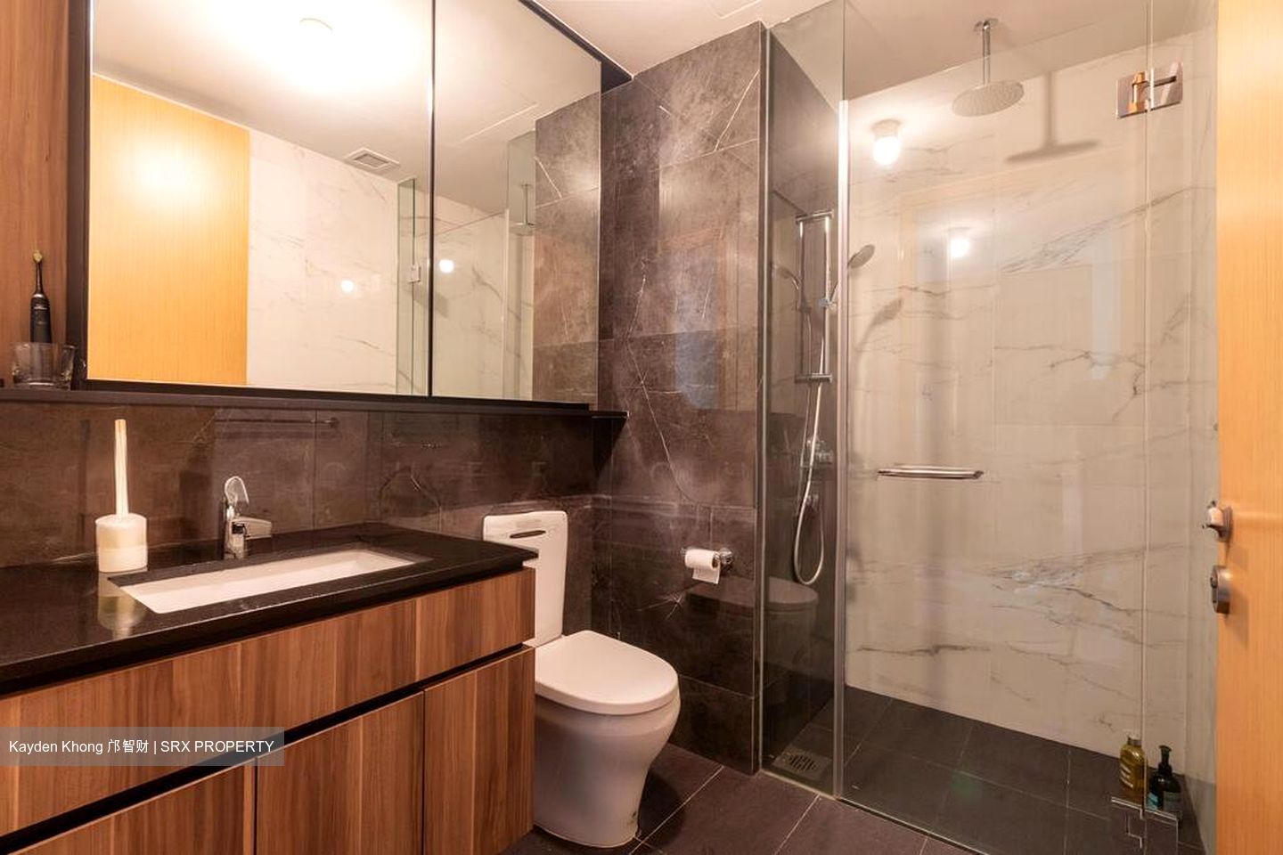 The Verandah Residences (D5), Apartment #501863531